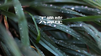 查看大图