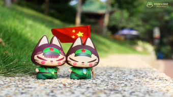 查看大图