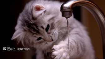 查看大图