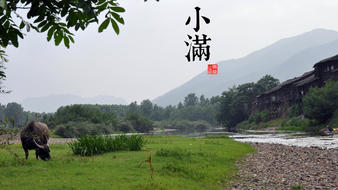 查看大图