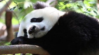 查看大图