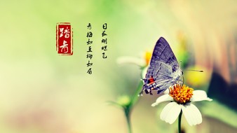查看大图