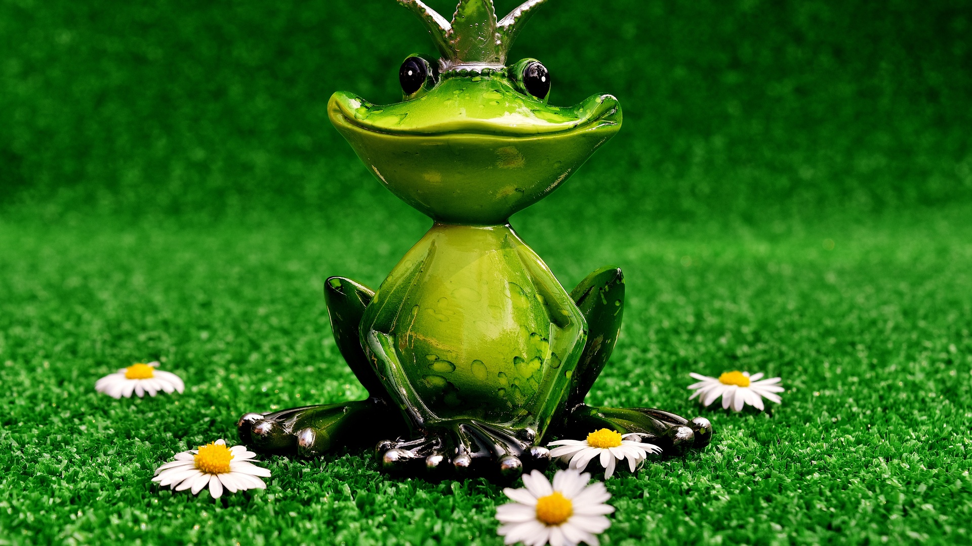 护眼 青蛙 青蛙王子 草地 装饰 可爱 7k背景图片壁纸
