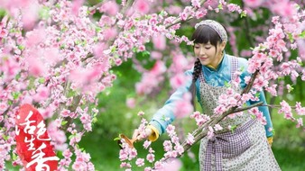 查看大图