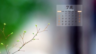 查看大图