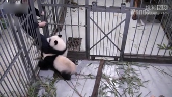 查看大图