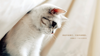 查看大图