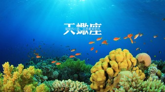 查看大图