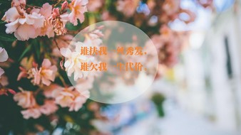 查看大图