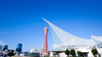 查看大图