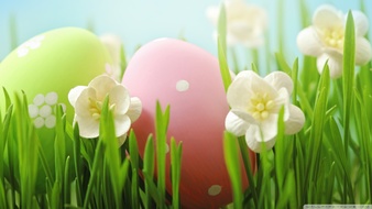查看大图