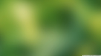 查看大图