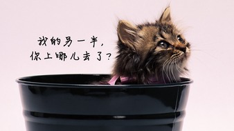 查看大图