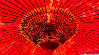 查看大图