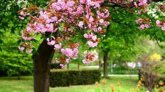 查看大图