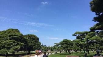 查看大图