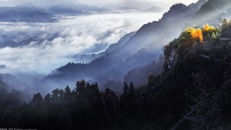 查看大图