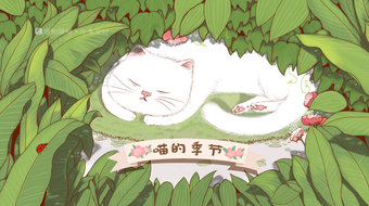 查看大图