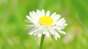 查看大图