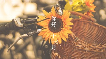 查看大图