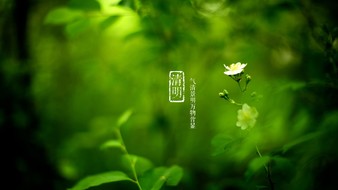 查看大图
