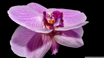 查看大图