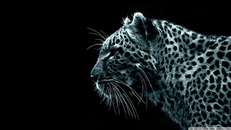 查看大图