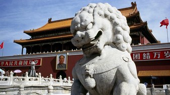 查看大图