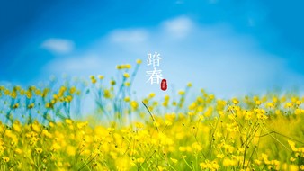 查看大图