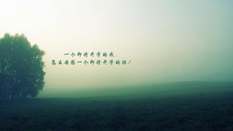 查看大图