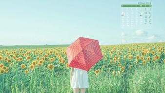 查看大图