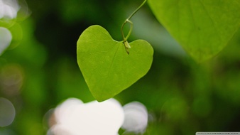 查看大图