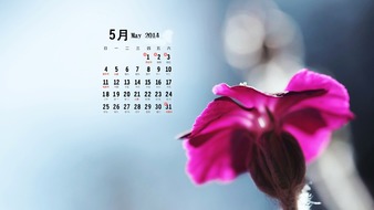 查看大图