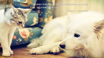 查看大图