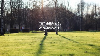查看大图