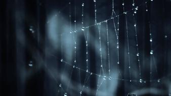 查看大图