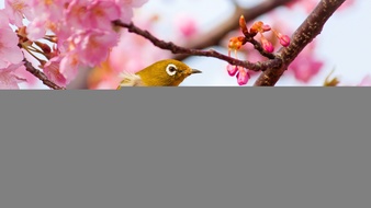 查看大图