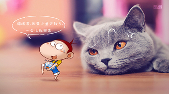查看大图