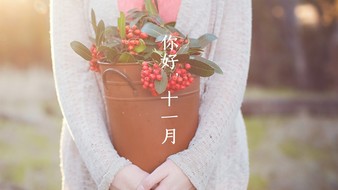 查看大图