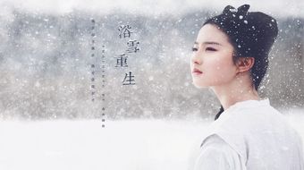 查看大图