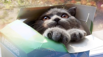 查看大图