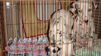 查看大图