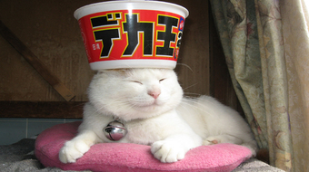查看大图