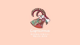 查看大图