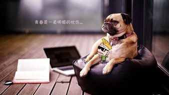 查看大图