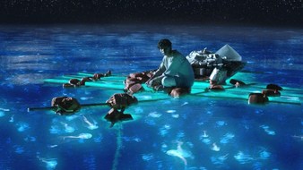 查看大图