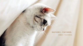 查看大图