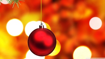 查看大图