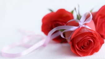 查看大图