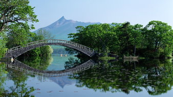 查看大图
